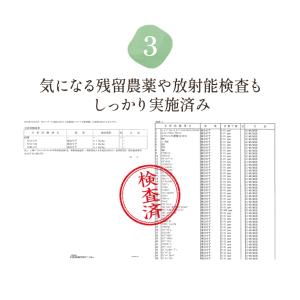 桑の葉茶 国産 オーガニック 2g × 50包...の詳細画像4