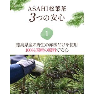 松葉茶 国産 赤松 ティーバック 2g × 5...の詳細画像2