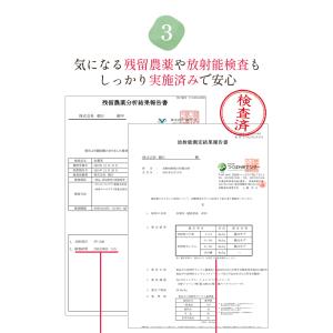 松葉茶 国産 赤松 ティーバック 2g × 5...の詳細画像4