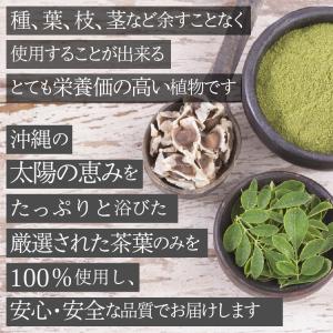 モリンガ茶 国産 オーガニック 1.5g 30...の詳細画像3