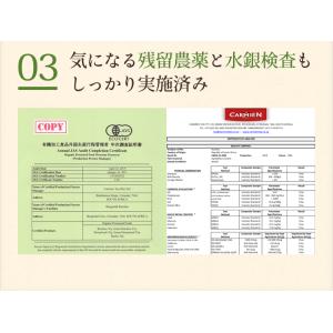 ルイボスティー オーガニック 100包 ノンカ...の詳細画像4