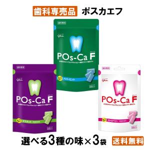 【最安値挑戦中】【選べる3種】ポスカエフ ガム 3袋 パウチ キシリトールガム POs-Ca F｜歯のみらい