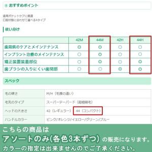 【最安値挑戦中】システマ 5本(お試し) 歯ブ...の詳細画像5