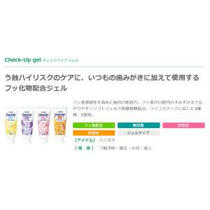 【最安値挑戦中】チェックアップジェル 60g ...の詳細画像2