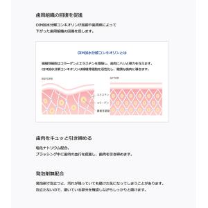 【最安値挑戦中】歯肉活性化歯みがき剤 コンクー...の詳細画像3