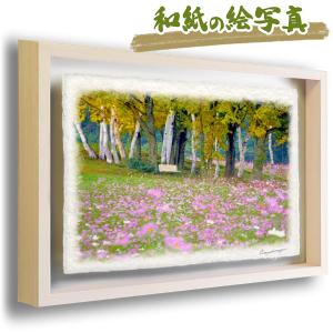 絵画 油絵 田澤禮次 肉筆油絵 静物画 コスモス 花瓶 F10 : アートフジ