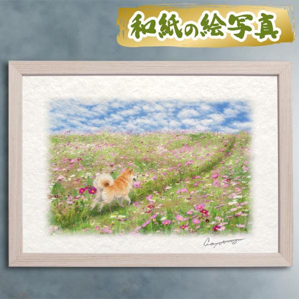 風水 玄関 絵画 絵 インテリア アートパネル 風景画 秋 ピンク 花 和紙の絵写真「秋田犬とコスモ...
