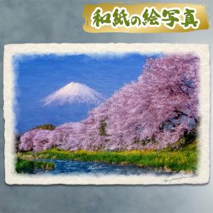 風水 玄関 絵画 絵 インテリア アートパネル 風景画 春 花の絵 ピンク 黄色 和紙の絵写真「川沿いの桜並木と菜の花と残雪の富士山」 木製パネル付き 36x24cm