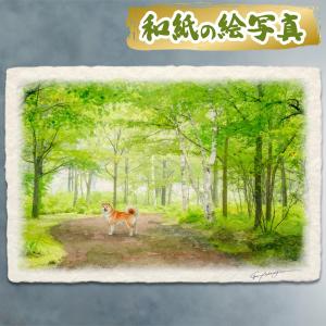風水 玄関 絵画 絵 インテリア アートパネル 風景画 夏 緑 道 木 森 和紙の絵写真「新緑の道と秋田犬」 木製パネル付き 36x24cm