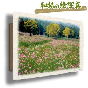 古沢岩美 『裸婦』 デッサン 紙 美人画 女性 日本人作家 : kousei
