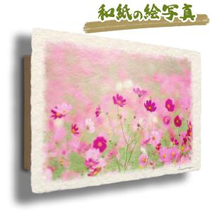 中島千波 「 コスモス 」 花の瞬間(とき)より オリジナル 木版画 版画