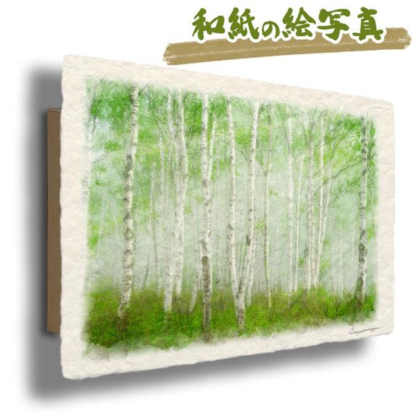 和紙の絵写真 「霧の新緑の白樺林と木漏れ日」 絵画 インテリア 玄関 風景画 アート パネル ポスタ...