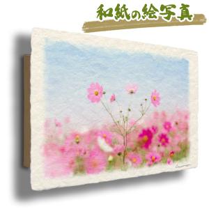 風水 玄関 絵 金運 絵画 トイレ 和紙の絵写真 秋 花 「霧空のピンクの