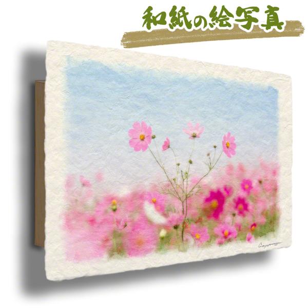 ポスター インテリア おしゃれ 風景 和紙 アート パネル 秋 花 「霧空のピンクのコスモス」