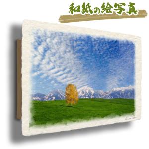 和紙の絵写真 「霧の新緑の白樺林と木漏れ日」 絵画 インテリア 玄関