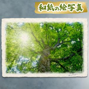 風水 玄関 絵画 絵 インテリア アートパネル 風景画 木 森 夏 緑 和紙