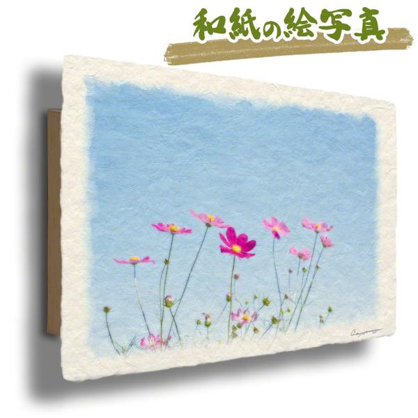 ポスター インテリア 北欧 おしゃれ 風景 和紙 アート パネル 花 秋 「青空と赤いコスモス」