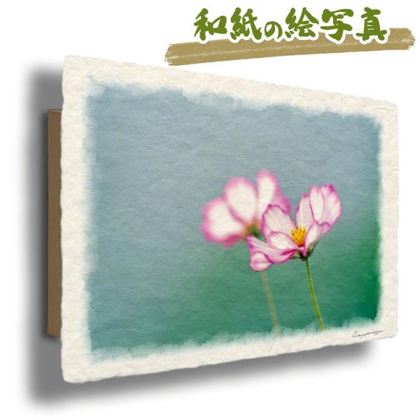 ポスター インテリア おしゃれ 風景 和紙 アート パネル 秋 花 「赤い縁取りの白いコスモス」