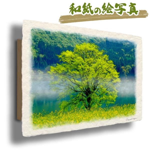 新築祝い 絵 画 和紙の絵写真 「朝霧の湖畔の菜の花畑と新緑の木」 春 木 森 花の絵 緑 黄色