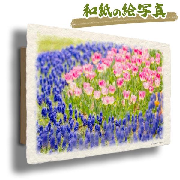 和紙の絵写真 「青いムスカリとピンクのチューリップの花畑」 絵画 インテリア 玄関 風景画 アート ...