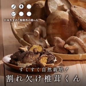干し椎茸 国産 訳あり 原木しいたけ 110g...の詳細画像1
