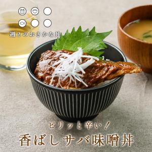 レトルト 魚総菜 さばのピリ辛味噌煮丼 単品 丼物 訳あり食品 わけあり グルメ 鯖 さば おつまみ レトルト食品 非常食