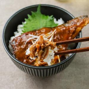 レトルト 魚総菜 さばのピリ辛味噌煮丼 単品 ...の詳細画像4