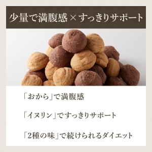 豆乳おからクッキー イヌリン入り ソフト 2種...の詳細画像1