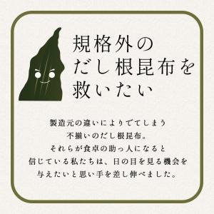 根昆布だし 北海道産 145g 不揃い 訳あり...の詳細画像3