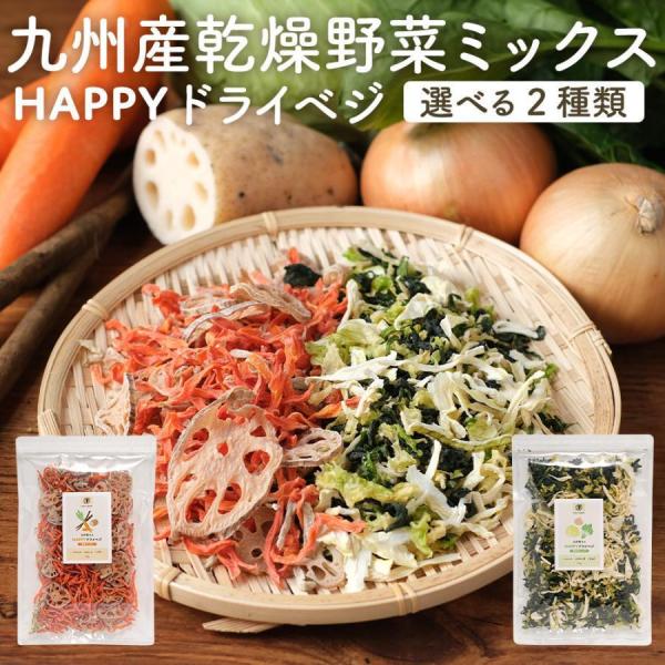 ポイント5倍 乾燥野菜 国産 ミックス キャベツ ほうれん草 玉ねぎ 100g ごぼう 人参 れんこ...
