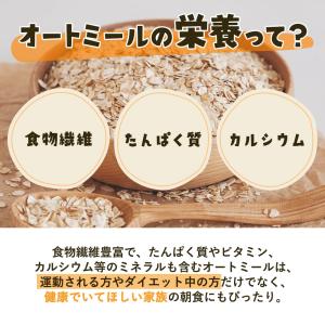 米粉 パンケーキ ホットケーキ ミックス 粉末...の詳細画像4