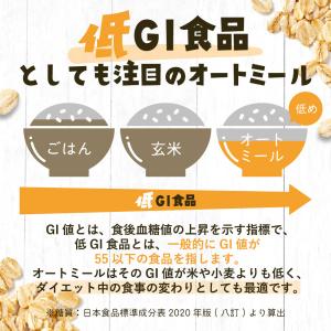 米粉 パンケーキ ホットケーキ ミックス 粉末...の詳細画像5