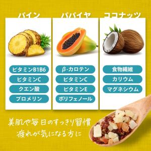 ドライフルーツ ハーブティー ローズヒップ ハ...の詳細画像5
