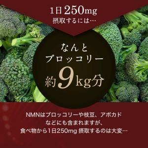 NMN サプリ エイジングケア パウダー 8g...の詳細画像5