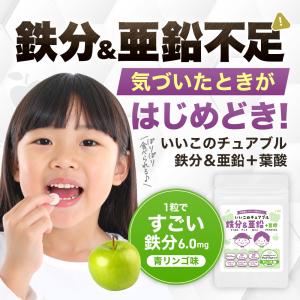 子供 サプリ 鉄分 亜鉛 葉酸 チュアブル 3...の詳細画像1