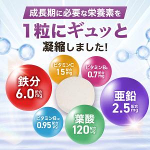 子供 サプリ 鉄分 亜鉛 葉酸 チュアブル 3...の詳細画像2