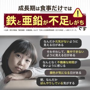 子供 サプリ 鉄分 亜鉛 葉酸 チュアブル 3...の詳細画像4