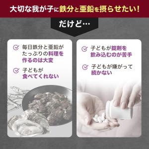 子供 サプリ 鉄分 亜鉛 葉酸 チュアブル 3...の詳細画像5