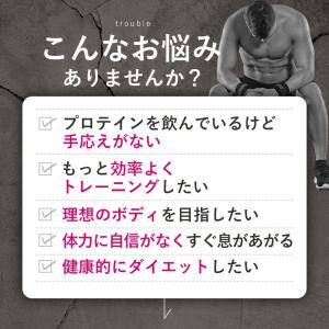 HMB サプリ パウダー 100g 約1ヶ月分...の詳細画像3