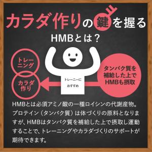 HMB サプリ パウダー 100g 約1ヶ月分...の詳細画像4