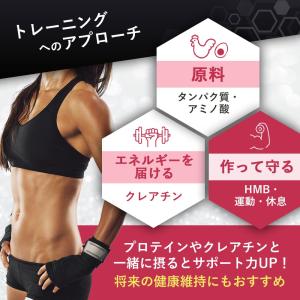 HMB サプリ パウダー 100g 約1ヶ月分...の詳細画像5