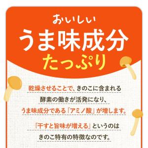 乾燥なめこ 国産 25g 生なめこ400g分 ...の詳細画像5