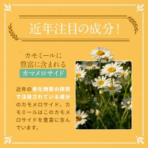 カモミールティー ティーバッグ 30包 60g...の詳細画像5