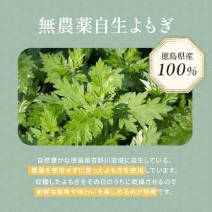 よもぎルイボス茶 50包 100g ノンカフェ...の詳細画像3