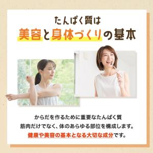 高たんぱく ふりかけ プロテインフレーク 添加...の詳細画像3