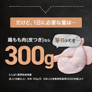 高たんぱく ふりかけ プロテインフレーク 添加...の詳細画像4