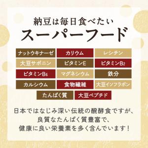 納豆 ふりかけ 無添加 100g 鰹 血合い ...の詳細画像4