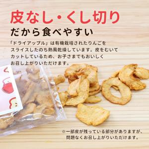 ドライアップル りんご 砂糖不使用 無添加 1...の詳細画像3