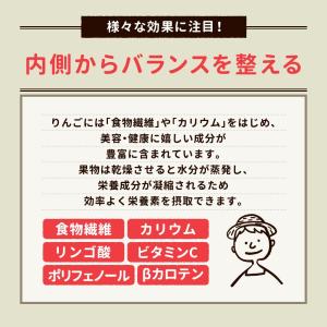 ドライアップル りんご 砂糖不使用 無添加 1...の詳細画像4