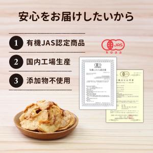 ドライアップル りんご 砂糖不使用 無添加 1...の詳細画像5